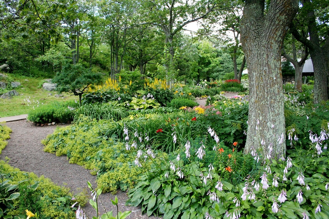 garden2-landscape design tips for beginners